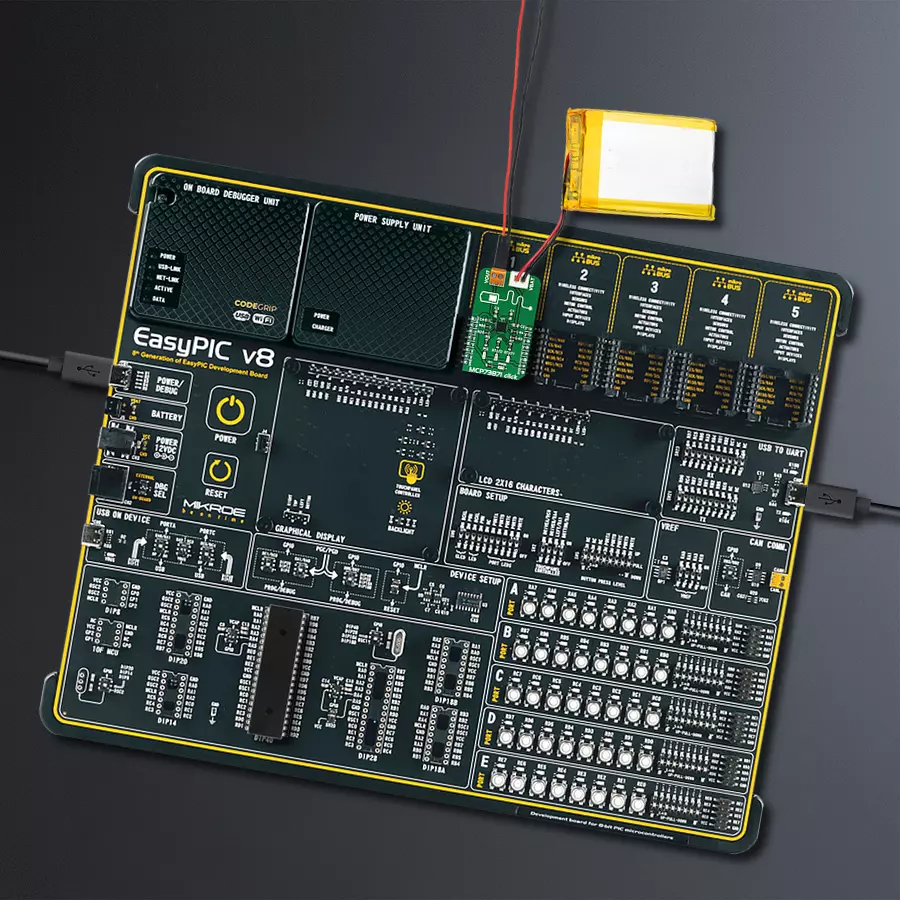 EasyPIC v8 Access DIPMB 1 - upright/background hardware assembly
