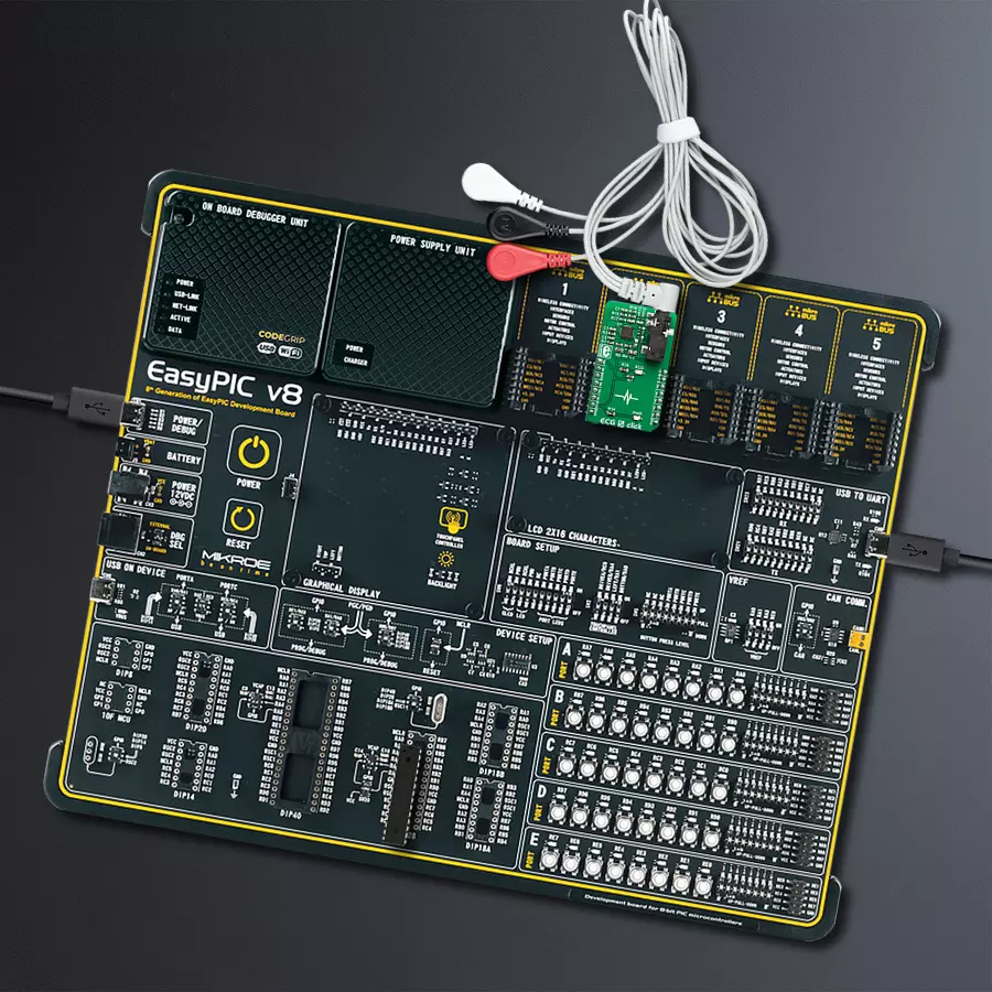 EasyPIC v8 Access DIPMB 1 - upright/background hardware assembly
