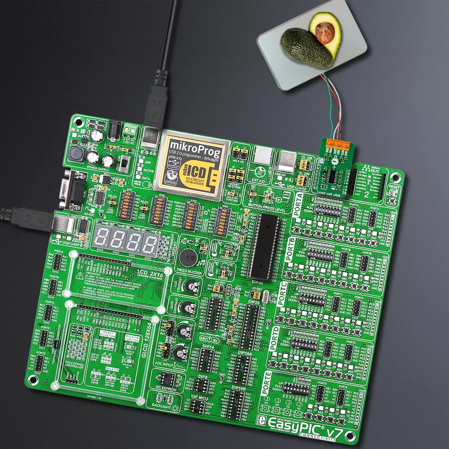 EasyPIC v7 Access MB 1 - upright/background hardware assembly