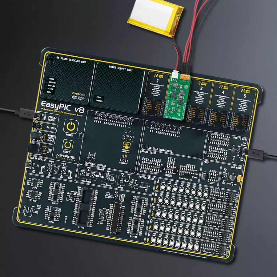 EasyPIC v8 Access DIPMB 1 - upright/background hardware assembly