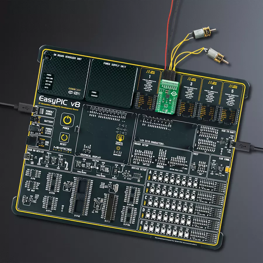 EasyPIC v8 Access DIPMB 1 - upright/background hardware assembly