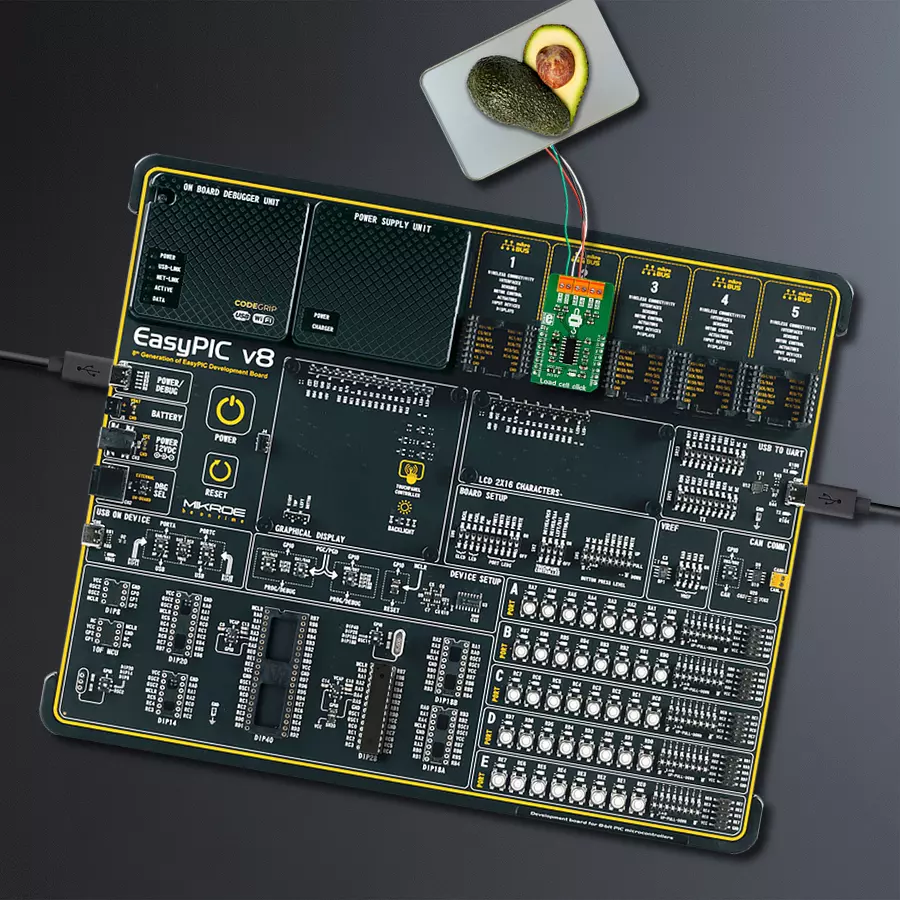 EasyPIC v8 Access DIPMB 1 - upright/background hardware assembly
