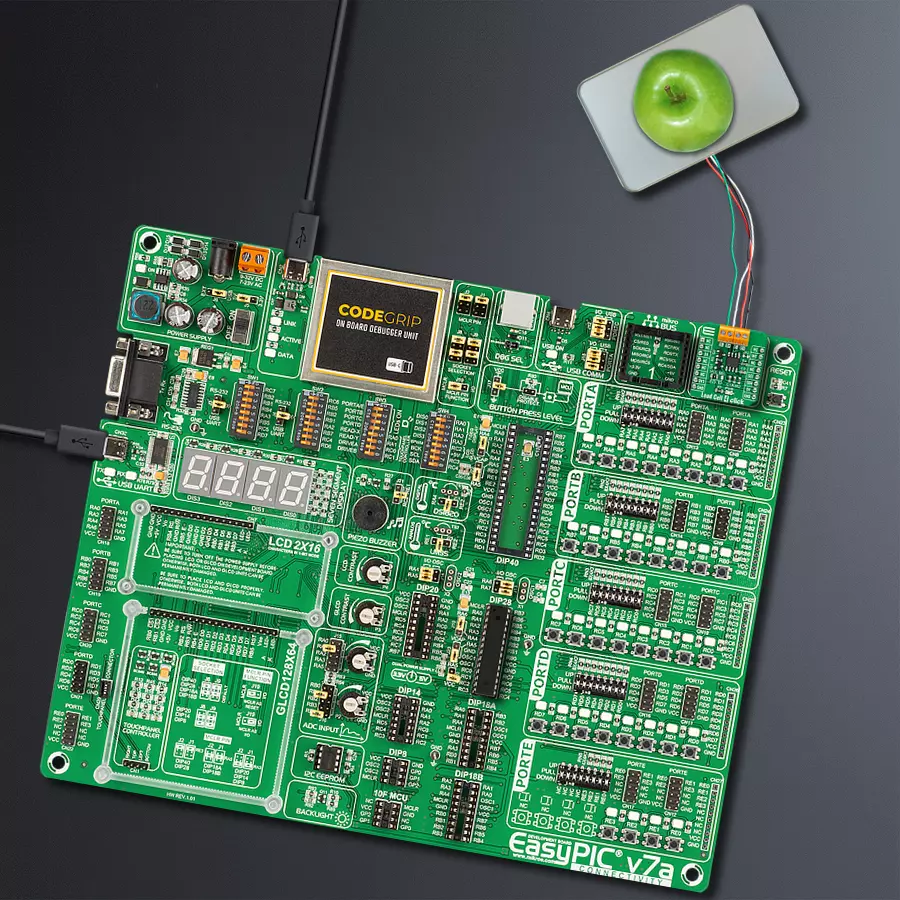 EasyPIC v7a Access MB 1 - upright/background hardware assembly